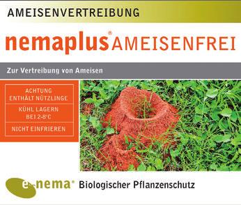 nemaplus Ameisenfrei nemaplus Ameisenfrei enthält 10 Millionen Nematoden der Art Steinernema feltiae zur zuverlässigen Vertreibung von Ameisen.