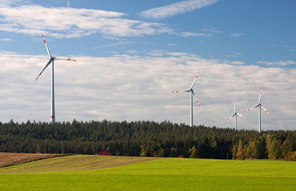Beteiligung hat viele Gesichter Wald-Windpark Tannberg-Lindenhardt I, im