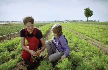 Zum Inhalt Landwirtschaft (Film 6 min) Schülerreporter Hannes besucht die Gemüsegärtnerin Birgit auf einem ihrer Felder.