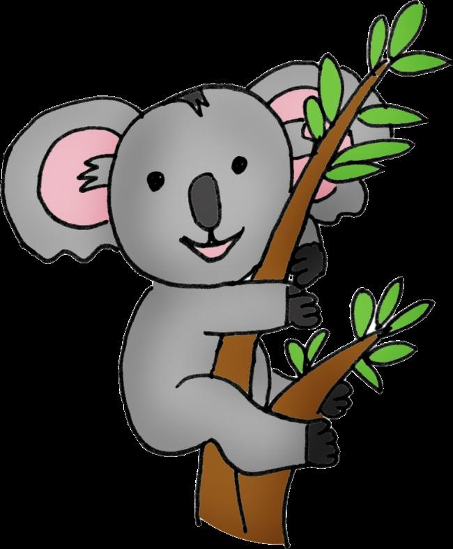 Der Koala kann klettern. Der Koala kann am Ast klettern. Der Koala kann trinken.