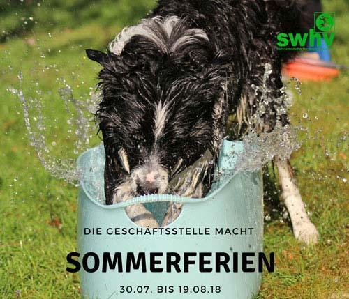 Herzlich willkommen zur 44. Ausgabe ist offizielles Mitteilungsorgan des südwestdeutschen Hundesportverbandes.