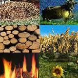 707 Wärmetechnische Gebäudesanierung Biomasse, Biogas nur im Winter verwendet = Ausgleichsenergie für fehlende