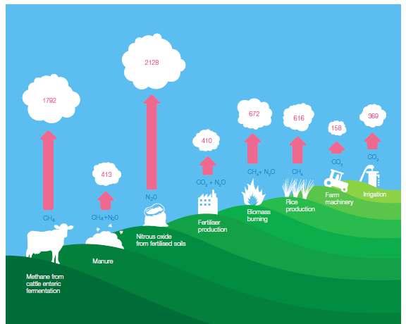 Landwirtschaftliche Treibhausgase
