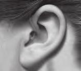 Hinter-dem-Ohr-Hörsysteme mit Ohrstück.! Achten Sie darauf, dass Ihr Hörsystem nicht auf eine harte Fläche fällt. Bereits ein Aufprall aus geringer Höhe kann zu Schäden führen.