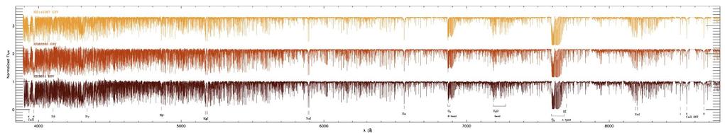 Beispiel: stellare Spektren hochaufgelöst Nicht alle Linien sind identifiziert Physikalische Bedingungen einer