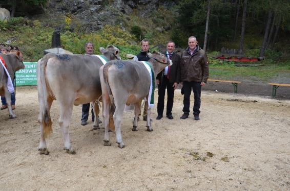 Insgesamt wurden 164 Braunviehtiere von 36 Ausstellern aus 8 Viehzuchtvereinen präsentiert. Stärkster Aussteller war Ferdinand Klotz vom VZV Huben mit 15 ausgestellten Tieren.