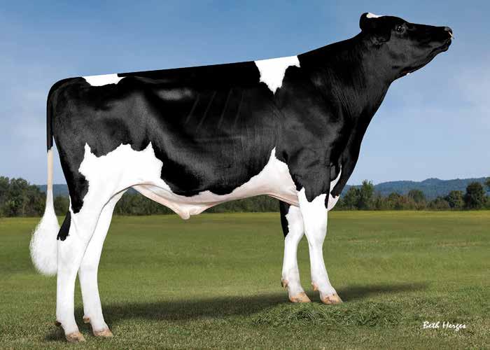 432 Crimson Herdb.Nr.: 508796 ABS Crimson SPECTRE x RUBICON x ALTAOAK Icon Sire ABS Global, Inc. (ABS) hat sich verpflichtet, dem Kunden erstklassige Genetik für die Rinderzucht bereitzustellen.