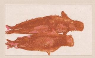 Meerengel Robbe 3, 1982 Art: A) Radierung und Aquatinta auf Bütten weiß B) auf dünnem