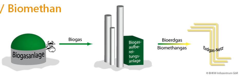 Bio-Erdgas