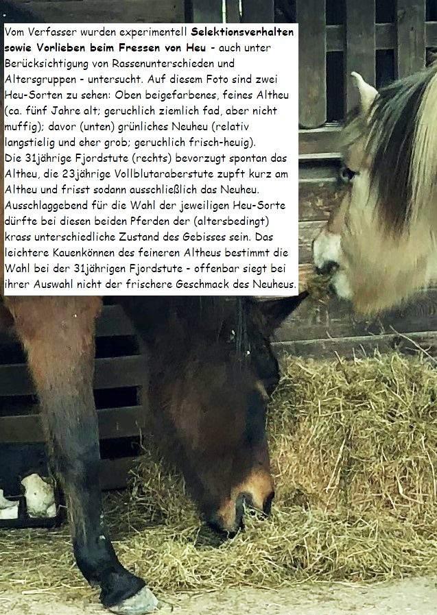 Der TK-Lesetipp: Pferdehaltung und Fütterung, Ingolf Bender,
