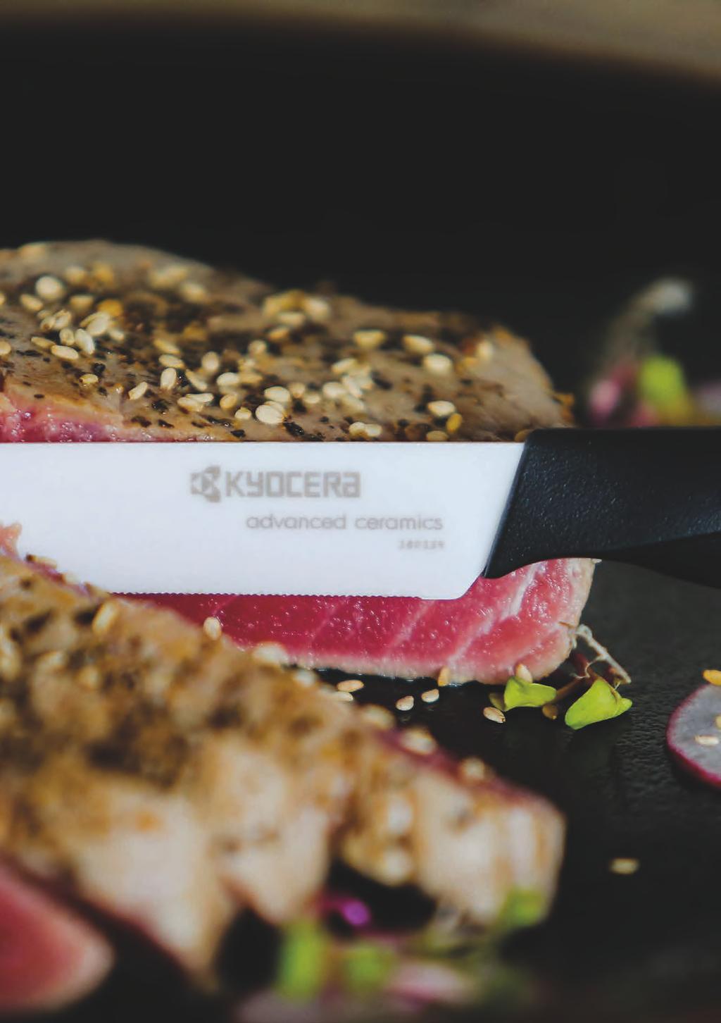 EU Steak Knife Set, gift box SK-2PC WH-WH EU Steak Knife