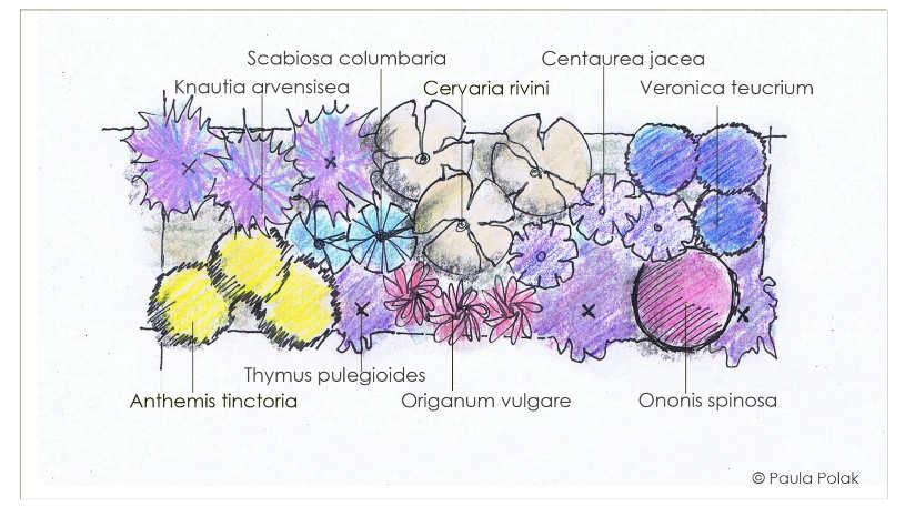 Garten Eden: Spezialbeete Beet für