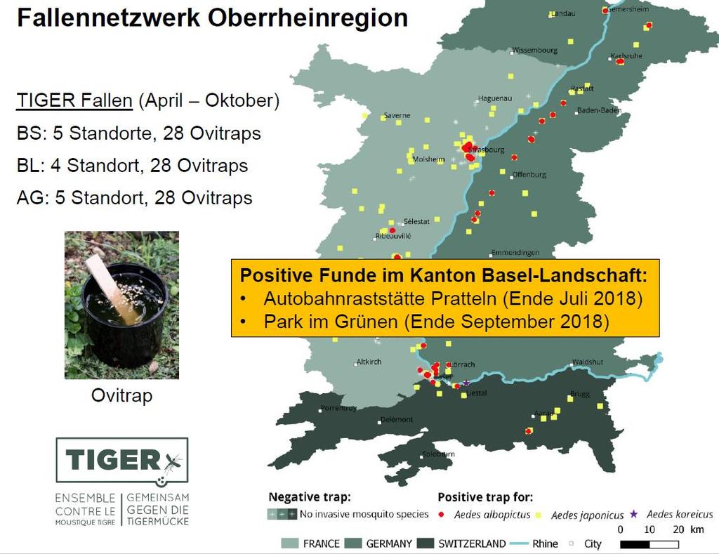 Im Rahmen des grenzübergreifenden Interreg Projekts TIGER (Laufzeit bis 2020) wurden im Kanton Basel- Landschaft zusätzliche Fallen an verschiedenen Standorten betrieben.