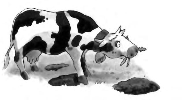 Die Kuh Kühe sind Nutztiere. Im Sommer bringen die Bauern sie auf die Wiese. Hier siehst du eine Kuh. Lies die Wörter in den Kästen.