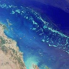 Korallenriffe Mangrovenwälder