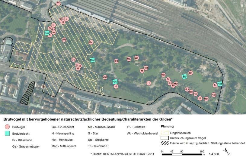 Untersuchungsergebnisse Vögel Anzahl und Verbreitung 46 Vogelarten im MSG nachgewiesen 28 Arten mit Brutnachweis Nach Art.