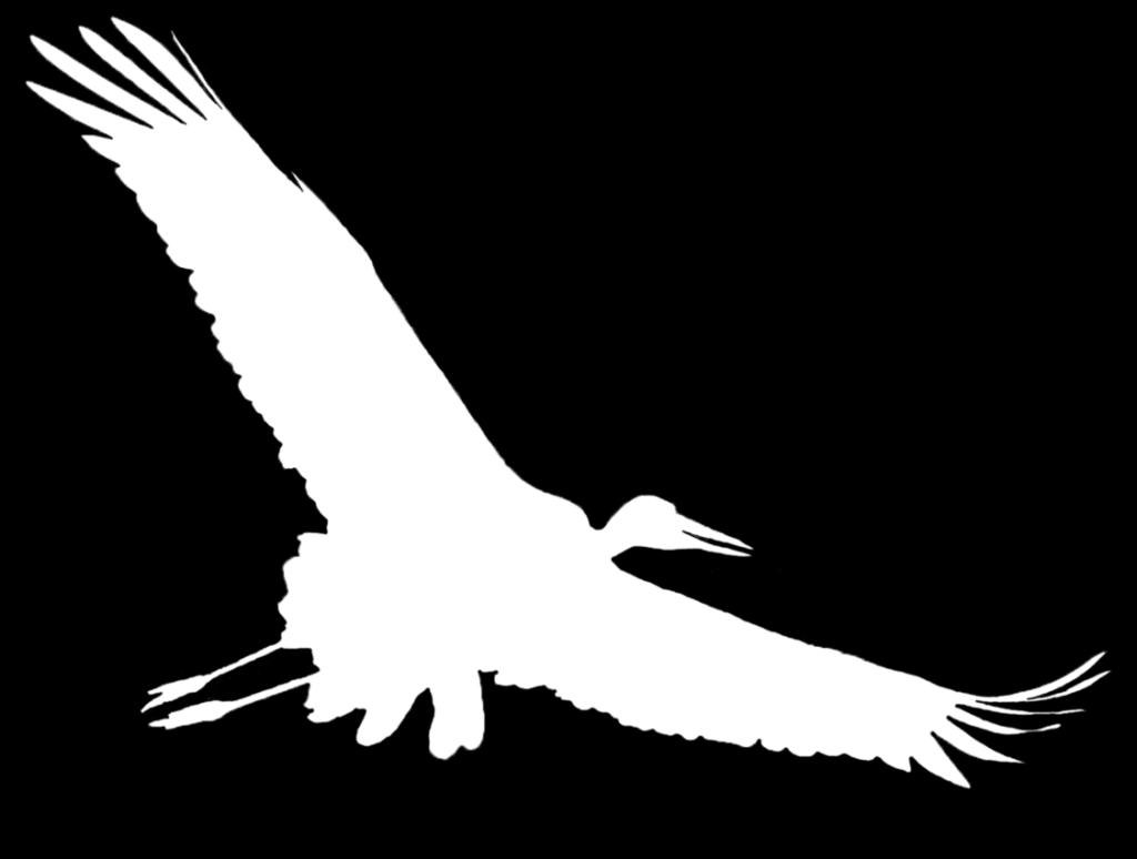 Vogelschutz, NABU-Bundesverband