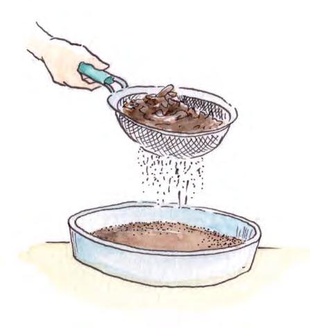 Hier ein Test, um herauszufinden, ob du sie noch benutzen kannst. 1. Nimm zehn Samenkörner und lege sie auf nasses Küchenkrepp.