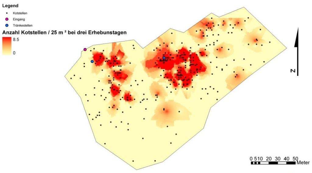 günstigere Kotfladenverteilung W Wasser E Eintriebsbereich e eben h hängig W h e h E W