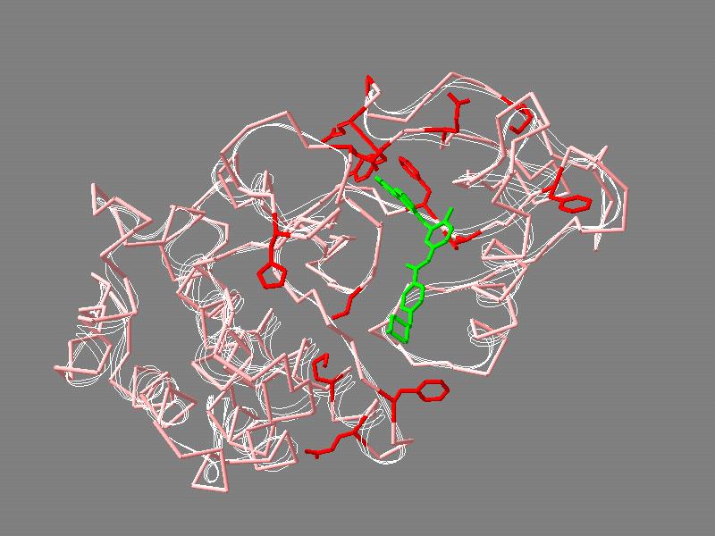 Imatinib-Resistenz: Bcr-Abl Mutationen H396 Q252 Y253 L387 G250 E255 M244 F311 F317 T315 V379 E355 M351 F359 Gorre et al.