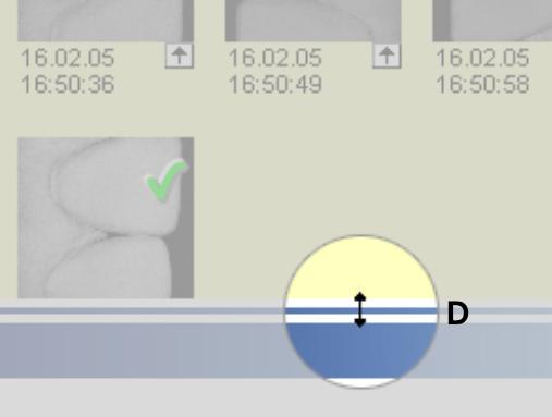 Optischer Abdruck Bildkatalog Mit der Schaltfläche C können Sie von waagerechter Bildkatalog-Einteilung auf senkrechte Einteilung umschalten und umgekehrt.