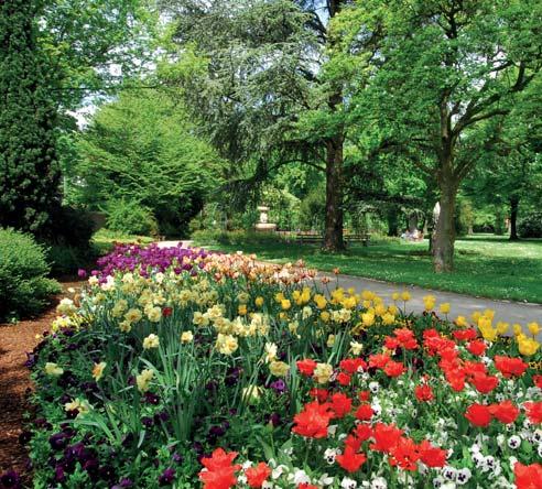 Heute profitiert der umfriedete Garten von eindrucksvollen alten Bäumen, weiten Rasenflächen und gepflegten Beeten, die eine entspannte Atmosphäre schaffen.