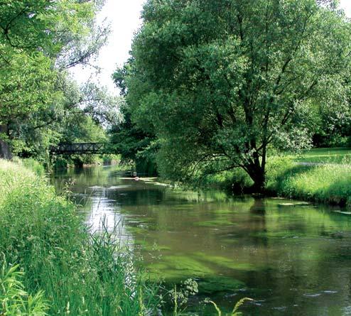 Erst durch die Errichtung der Siedlungen Weiherfeld und Dammerstock in den 1920er Jahren wurde ein Teil der Flussaue zum stadtnahen Park.