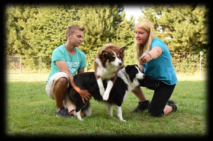 TRICKDOG UND DOGDANCE MIT LUKAS PRATSCHKER Wann? 30.05.2019 (Feiertag) 10:00-16:00 Wie viel? 85 Trickschule ist echte Kopfarbeit und erfordert einen Menge Konzentration.