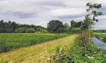 Natur- und Artenschutz in der Landesjägerschaft Niedersachsen Daueraufgabe der Landesjägerschaft Niedersachsen als anerkannter Naturschutzverband ist die Fort- und Weiterbildung breiter Kreise über
