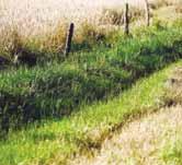 Im Jahr 2003 wurden über die Landesjägerschaft Niedersachsen 70000 m 2 neuer Feldrain-Altgrasstreifen abseits der Wege aus den Mitteln der Jagdabgabe des Landes bezuschusst.