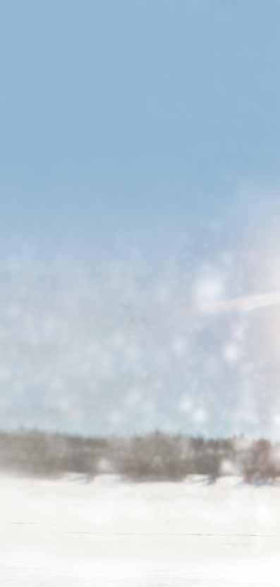 WINTERKOMPLETTRÄDER Kia Modell Picanto 2017 Rio 2017 Cee`d 2015 Niro Venga Sportage Sorento Reifen mit Nexen Winguard Snow WH2 175/65 R14 ohne RDKS * mit Nexen Winguard Snow WH2 185/65 R15 ohne RDKS
