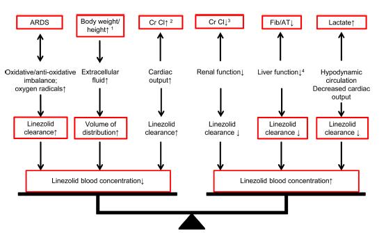 Einflussfaktoren Linezolid-Konzentration Erhöhung