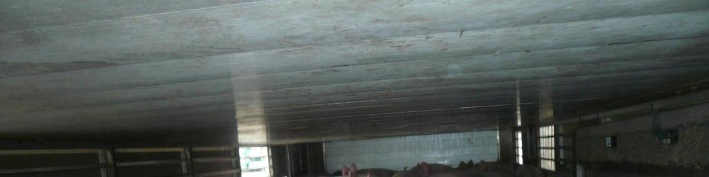 Abbildung 2: Schweine Tiertransport in Oberösterreich Quelle: Land OÖ Tierschutzgerechter