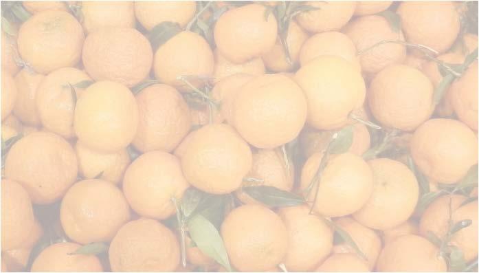 Israel Spanien 100% Mandarinen im Jahr Mengenentwicklung