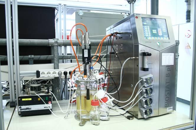 Biotechnologische Herstellung von Bernsteinsäure Fermentation Prozessoptimierung (Drehzahl, Begasung, ph-regelung) Medienoptimierung (Reduktion der Bestandteile)
