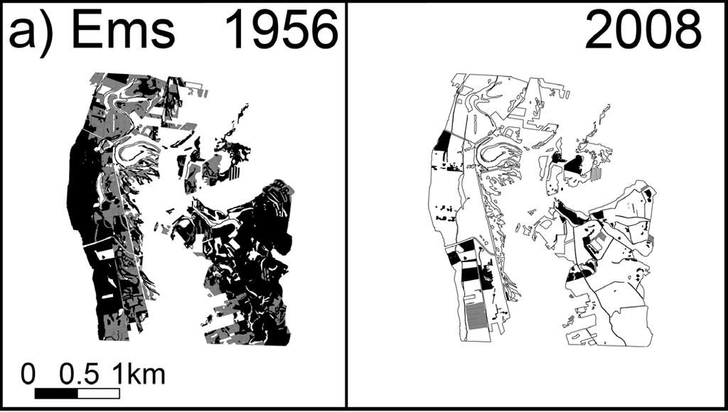 Auengrünland: Strukturveränderung 1950er - heute Kartenvergleich historisch aktuell, 6 Auen