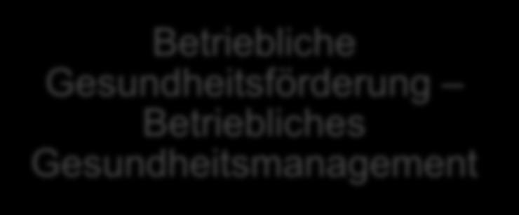 Zielrichtung Betriebliche Gesundheitsförderung Betriebliches Gesundheitsmanagement Das gesunde Unternehmen Einflussnahme