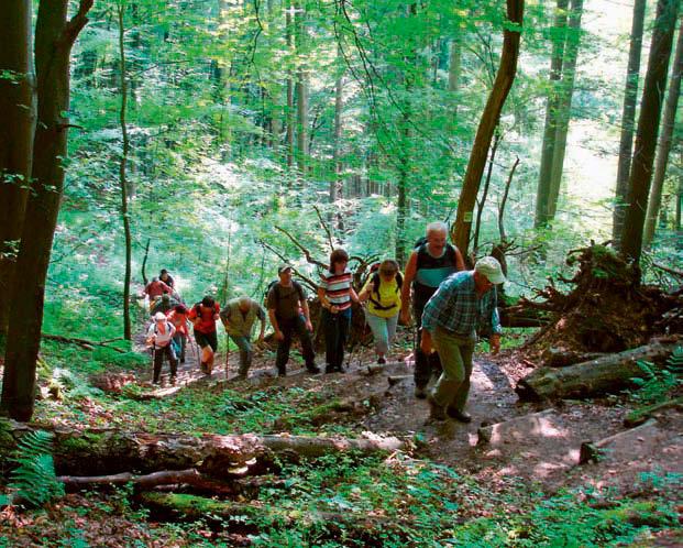 46 RUND UMS WANDERN OG Waxweiler. Auf dem Schluchtenpfad Fritz Knob Losheim konnte die zweite Wanderung in Angriff genommen werden, der Schluchtenpf ad um den Ort Rissenthal.