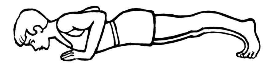 Liegestu tz (push-up) Ausgangsposition: Endposition: Oberarm (Trizeps) Arme gestreckt, Schultern oberhalb der Handgelenke, Körper