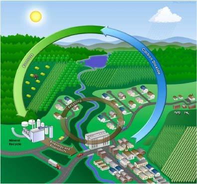 Herausforderung: Nachwachsende Rohstoffe Landwirtschaftliche Flächen (Nahrungsmittel contra Energie) Düngemittel- und Wasserverbrauch für Biomasseerzeugung