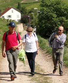 Rundwanderung, fachkundig von Carlo und Erich begleitet, konnte man von den höhergelegenen Weinbergen aus auf den historischen Ortskern hinunterschauen.