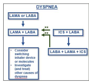 GOLD 2019 Nachbeobachtung der pharmakologischen Behandlung DYSPNOE Bestehende Therapie SABA, LAMA, LABA, LAMA/ LABA, ICS/LABA Dyspnoe Bedenke den Wechsel des Inhalators oder der Moleküle Bedenke