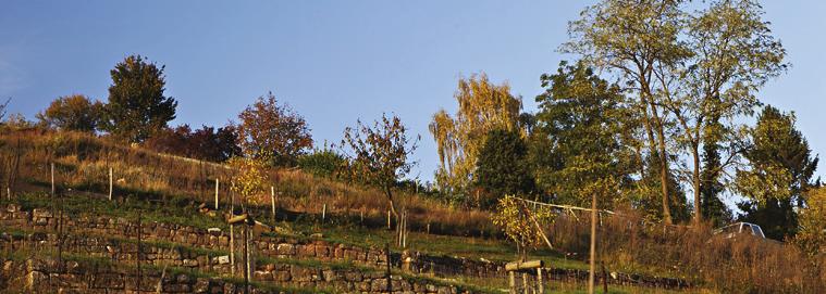 Stuttgart. In wenigen Minuten erreichen Sie die Innenstadt.