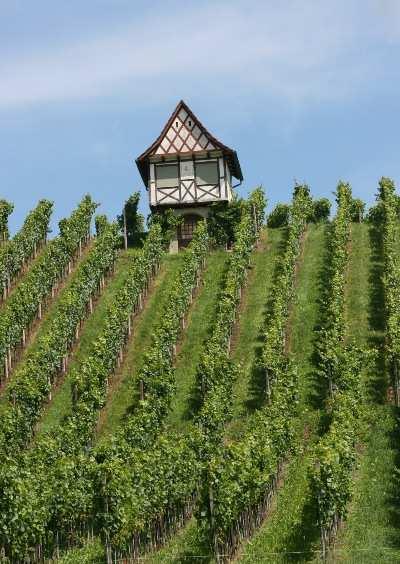 Das Gemeindegebiet umfasst rund 1750 Hektaren und grenzt an den Kanton Zürich.