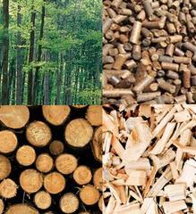 Auswirkung auf Kosten - Verbrauch Umwelt Biomasse zur