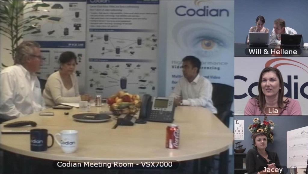 DFNVC: Features Codian MCU (III) Demonstration von Codian unter