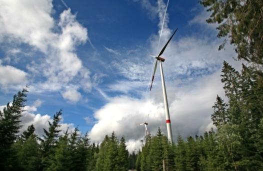 Auswirkungen von WEA im Wald Wenig Wissen zu windenergiesensiblen Waldarten (Fledermäuse und Vögel) Wenig bis