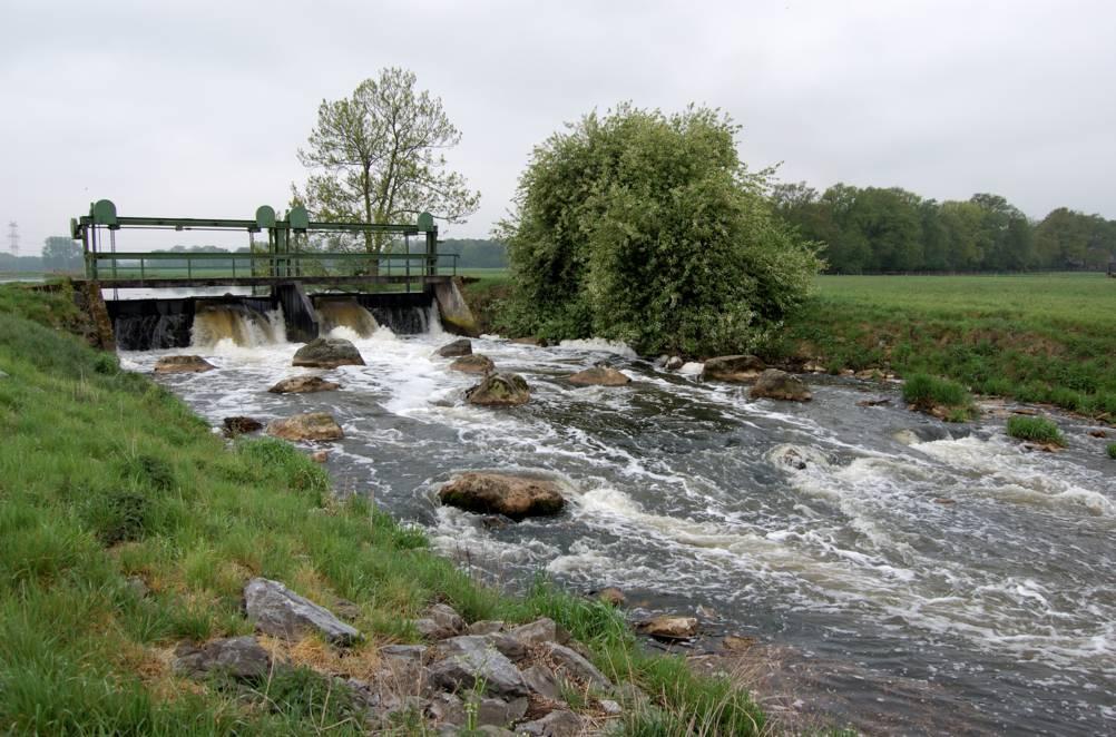 Ems Warendorf -Rheda die 30 km lange Gewässerstrecke ist durch Stauhaltungen geprägt.