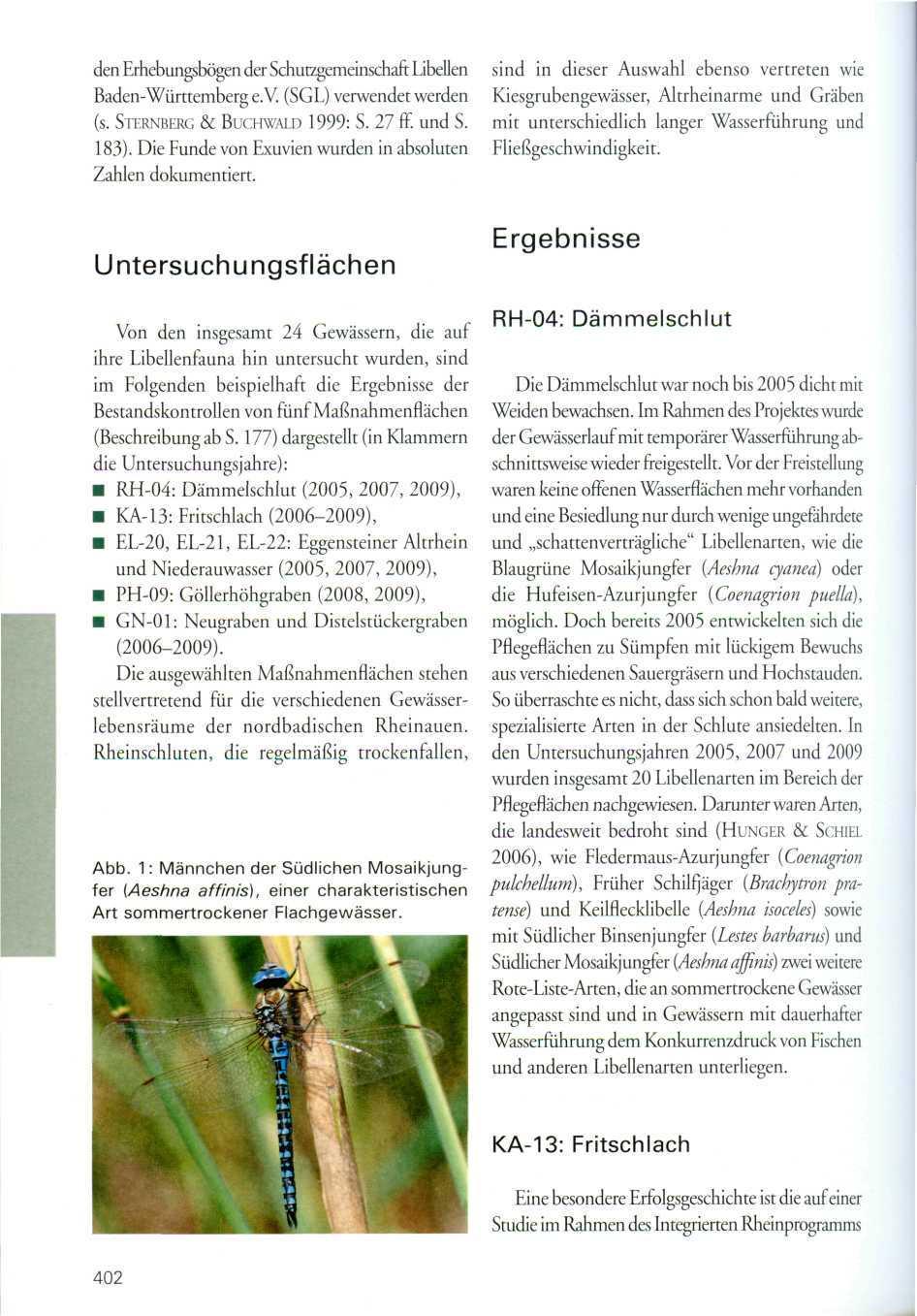 den Erhebungsbögen der Schutzgemeinschaft Libellen Baden-Württemberg e.v. (SGL) verwendet werden (s. STERNBERG & BUCHWALD 1999: S. 27 ff. und S. 183).