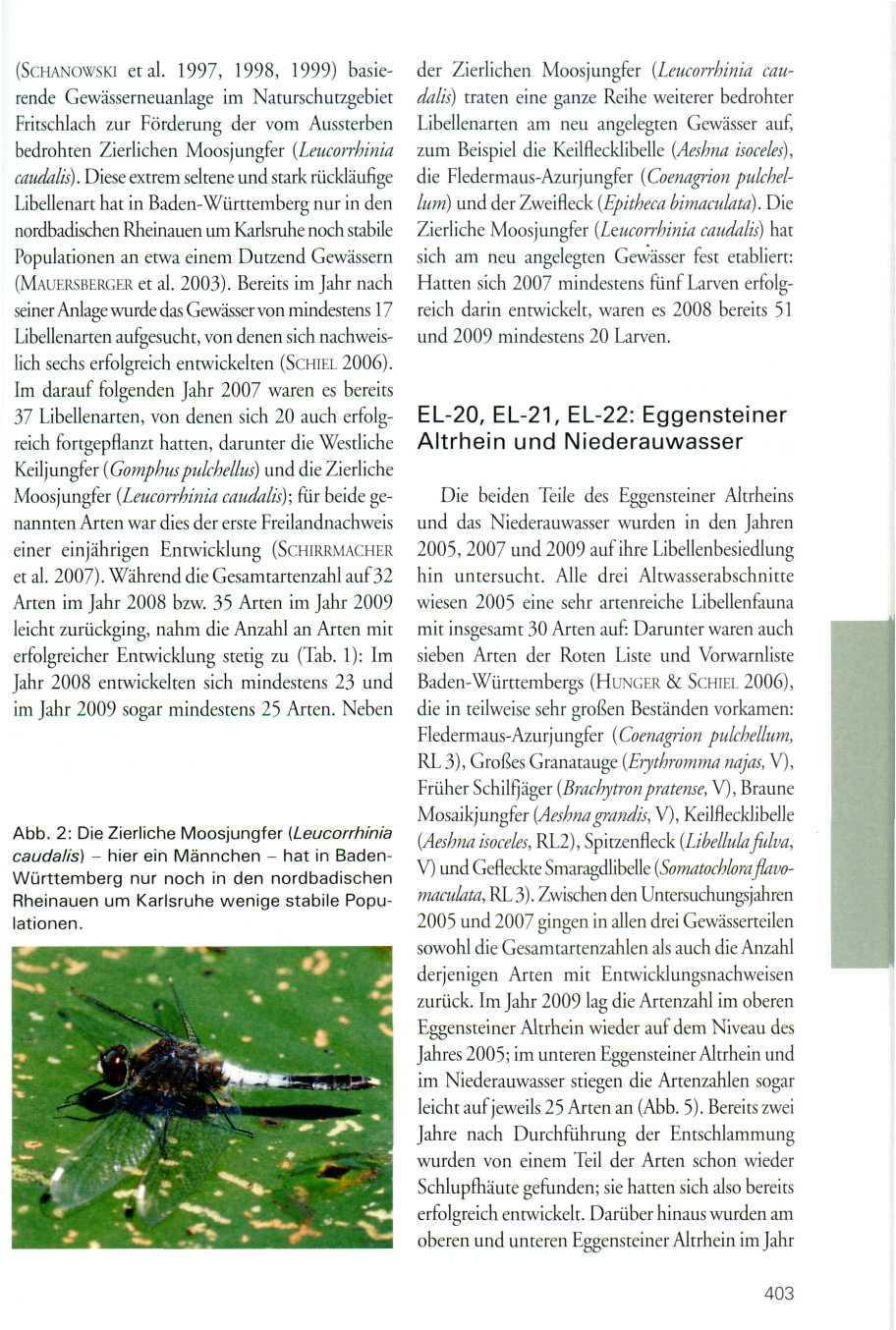 (SCHANOWSKI etal. 1997, 1998, 1999) basierende Gewässerneuanlage im Naturschutzgebiet Fritschlach zur Förderung der vom Aussterben bedrohten Zierlichen Moosjungfer (Leucorrhinia caudalis).